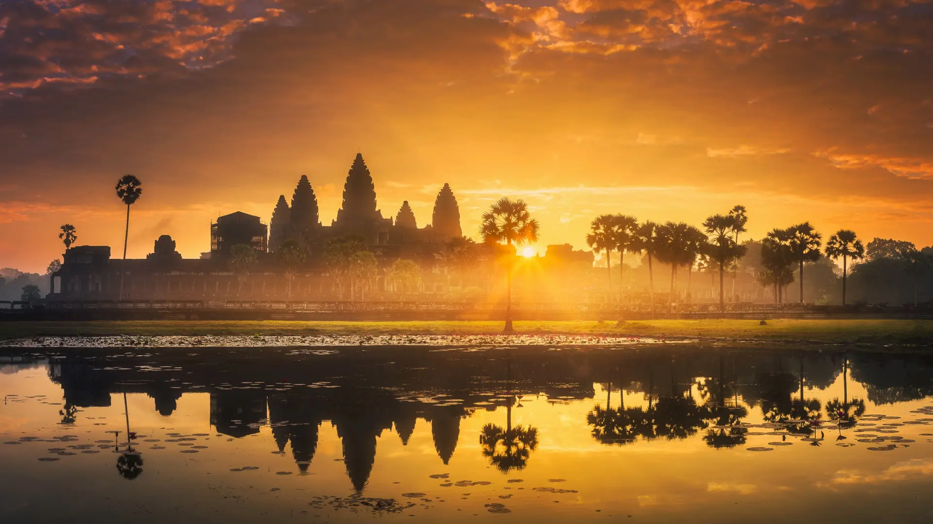 Cambogia