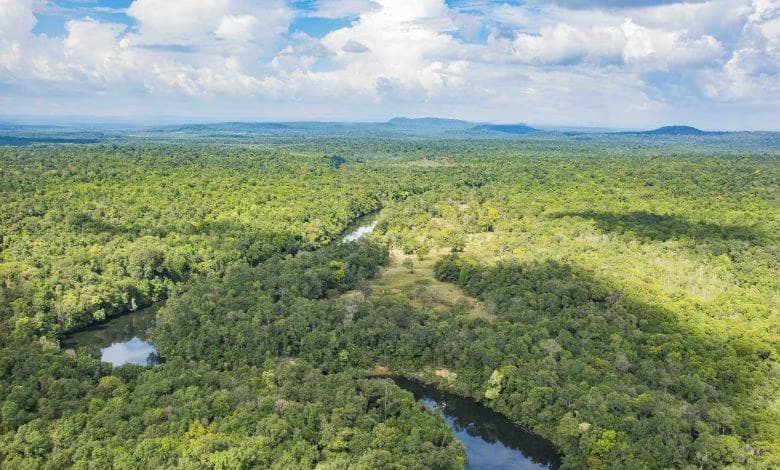 Trekking a Koh Kong & balneare