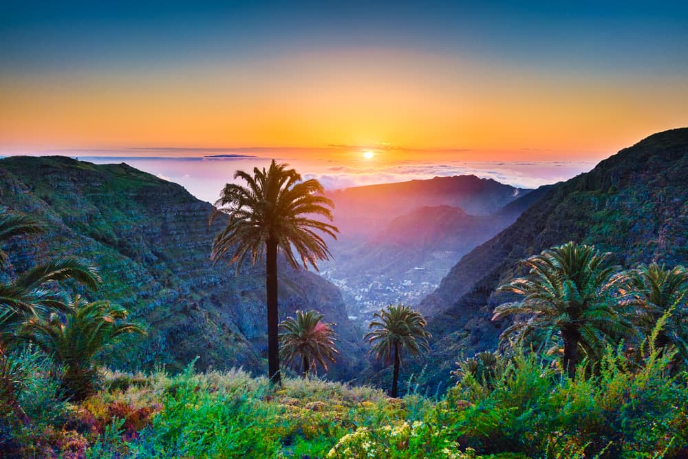 Canarie
