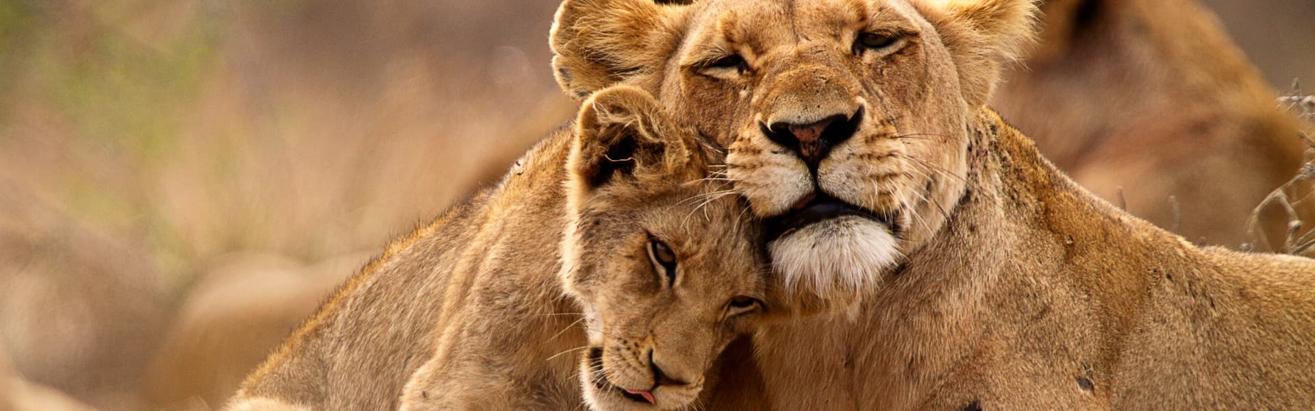 Sudafrica