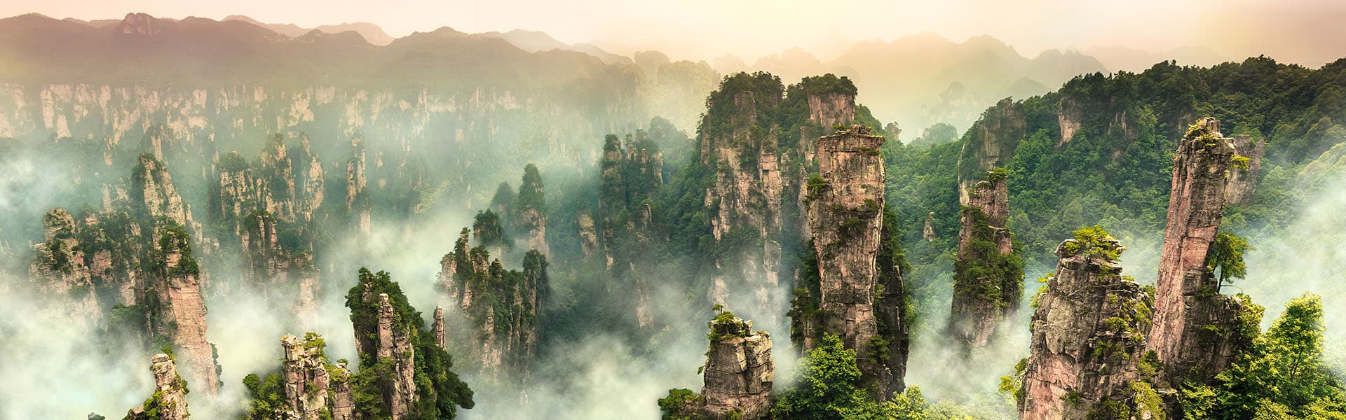 Cina