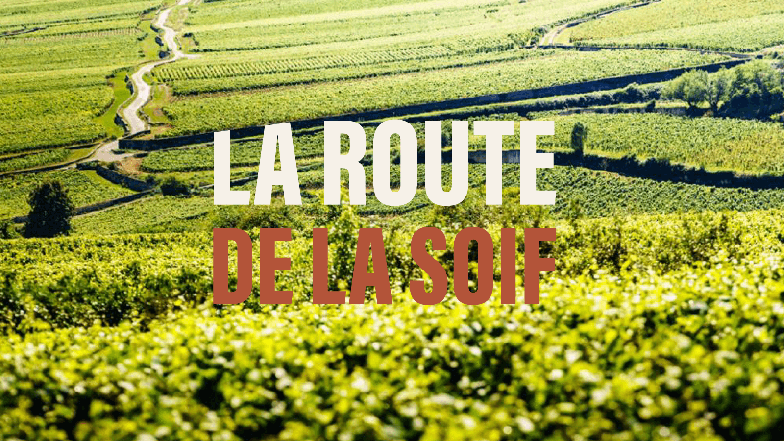 Beaune, escursioni e vini della Borgogna