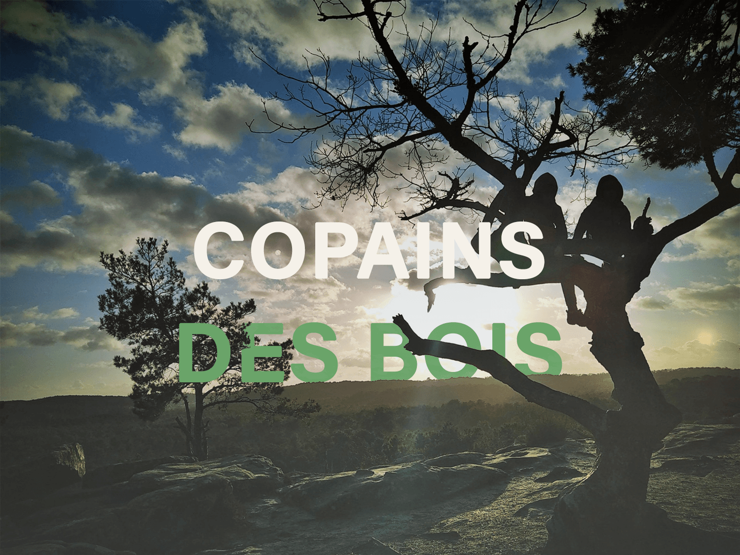 Fine settimana multisport per famiglie nella foresta di Fontainebleau