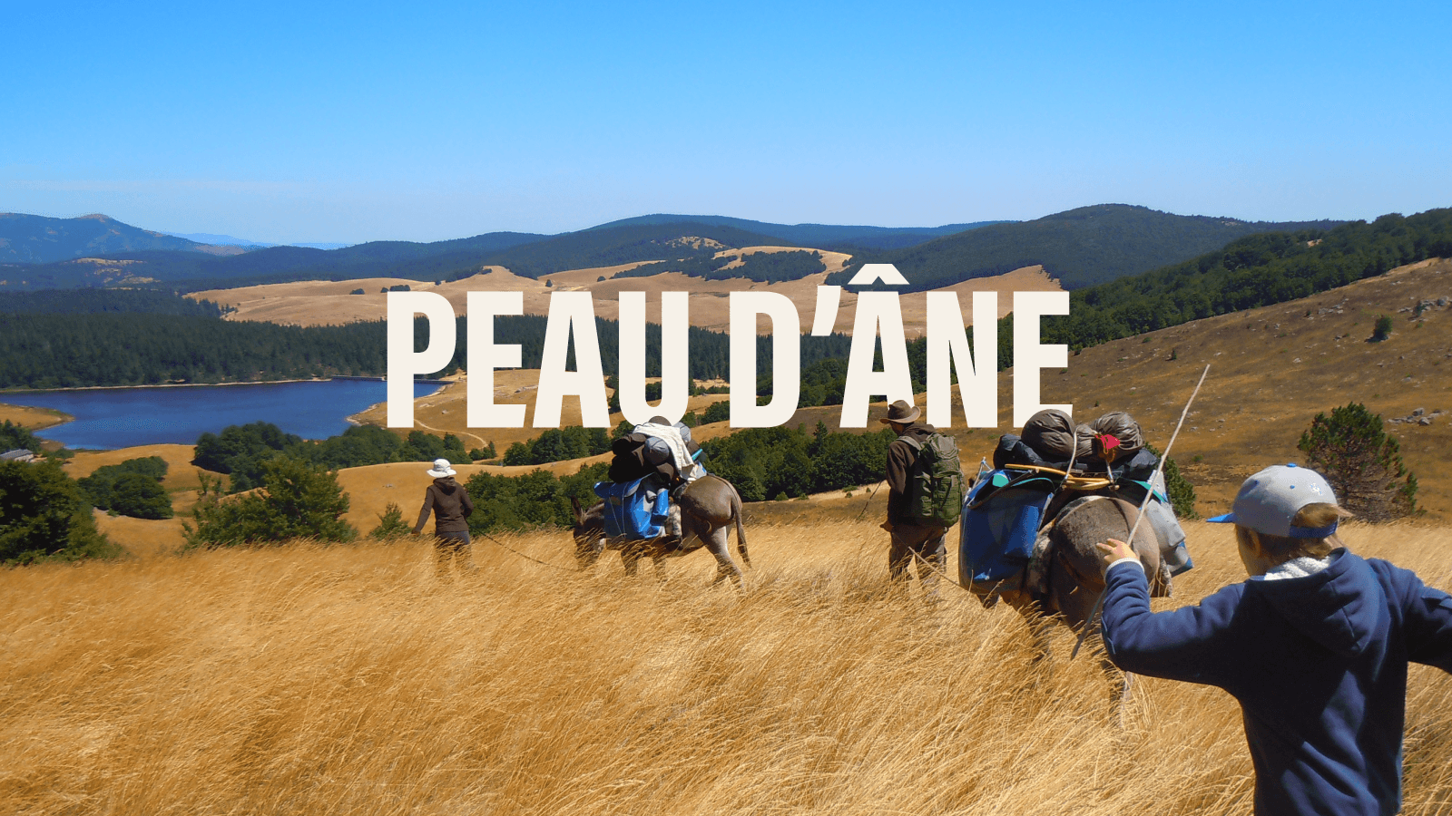 Trekking con un asino nelle Cevenne, sulle orme di Stevenson