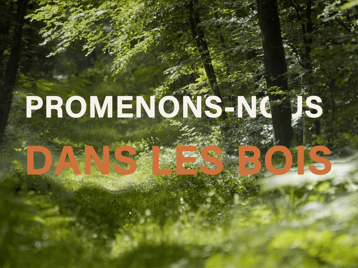 Fine settimana trekking e bivacco nella Foresta di Fontainebleau