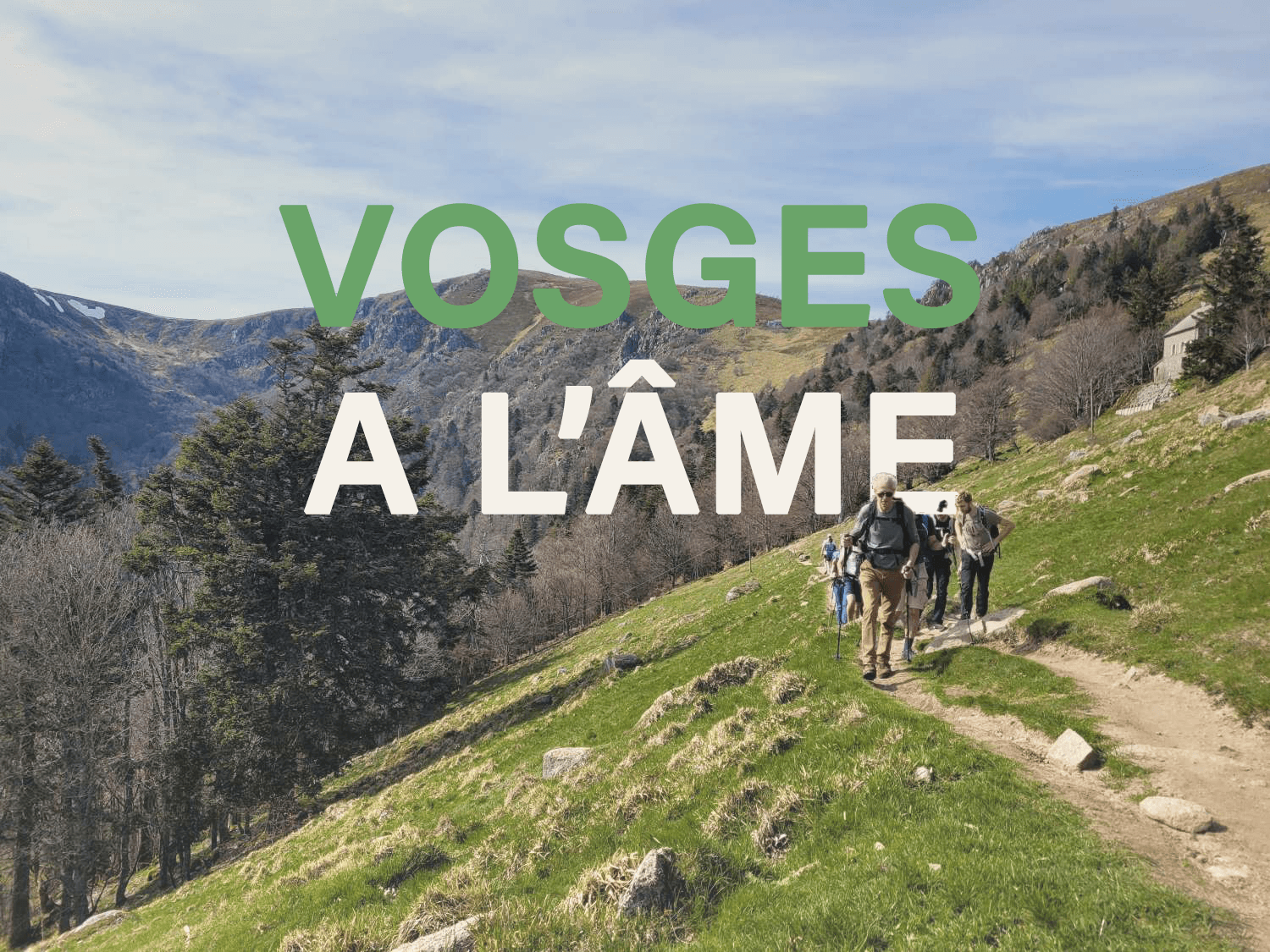 Sulle creste dei Vosgi, escursionismo, rifugio e ottimo cibo