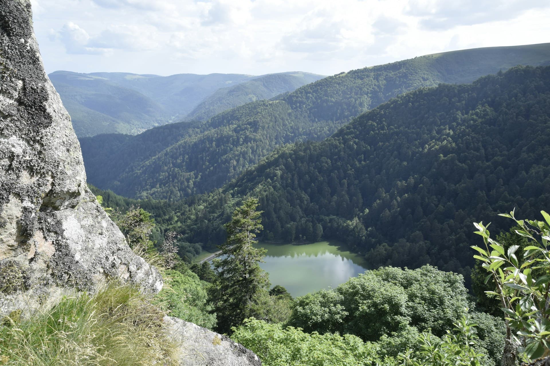 Vosgi