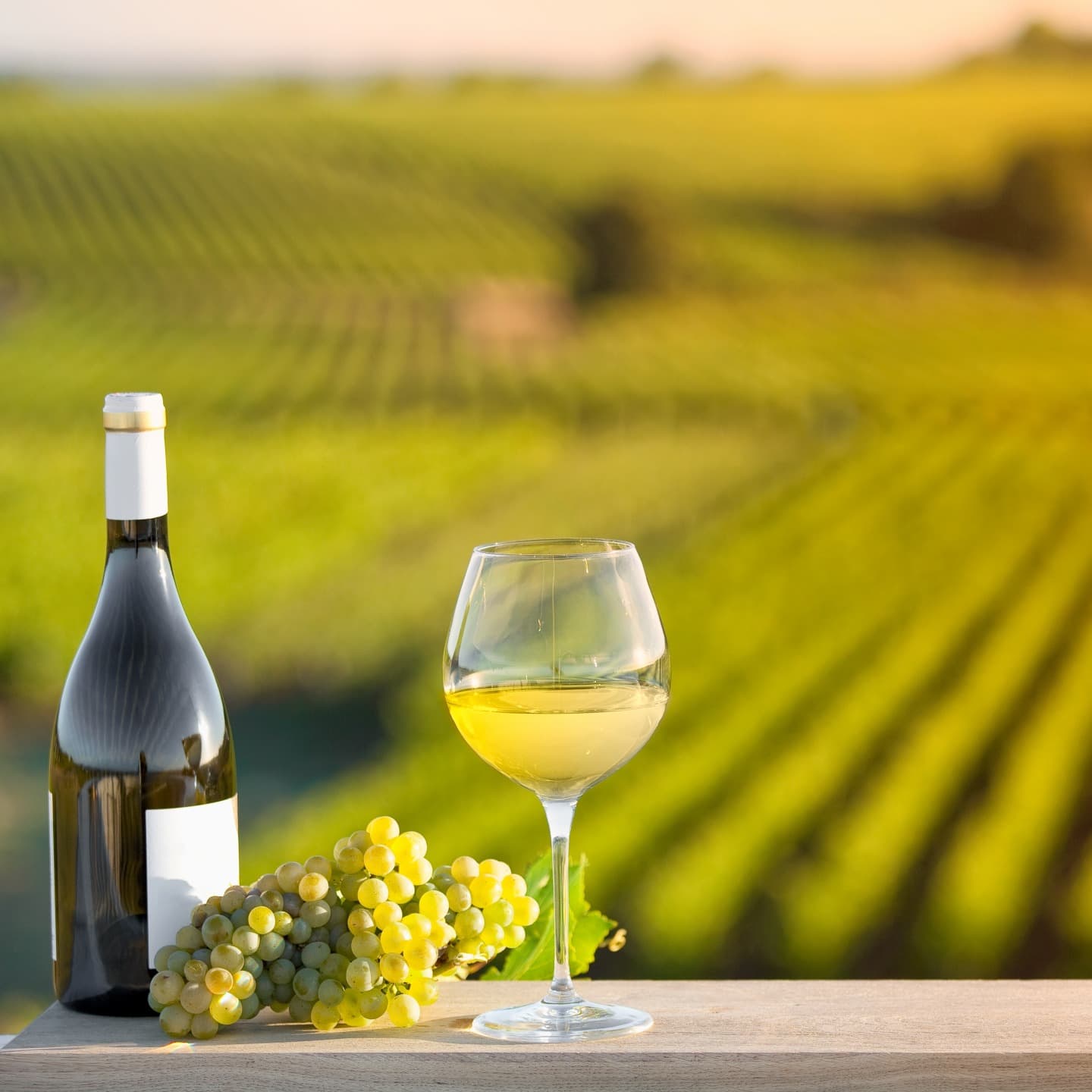 Vigneti dell'Alsazia e la vecchia Colmar