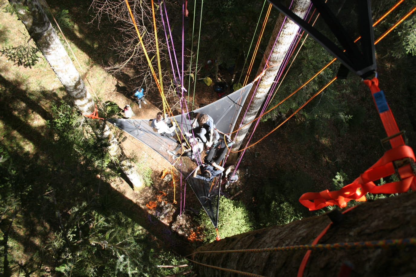 Introduzione all'arrampicata negli alberi