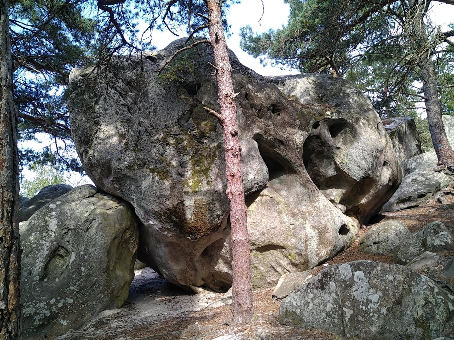 Vivi e vitali nel mezzo delle rocce del Paradiso