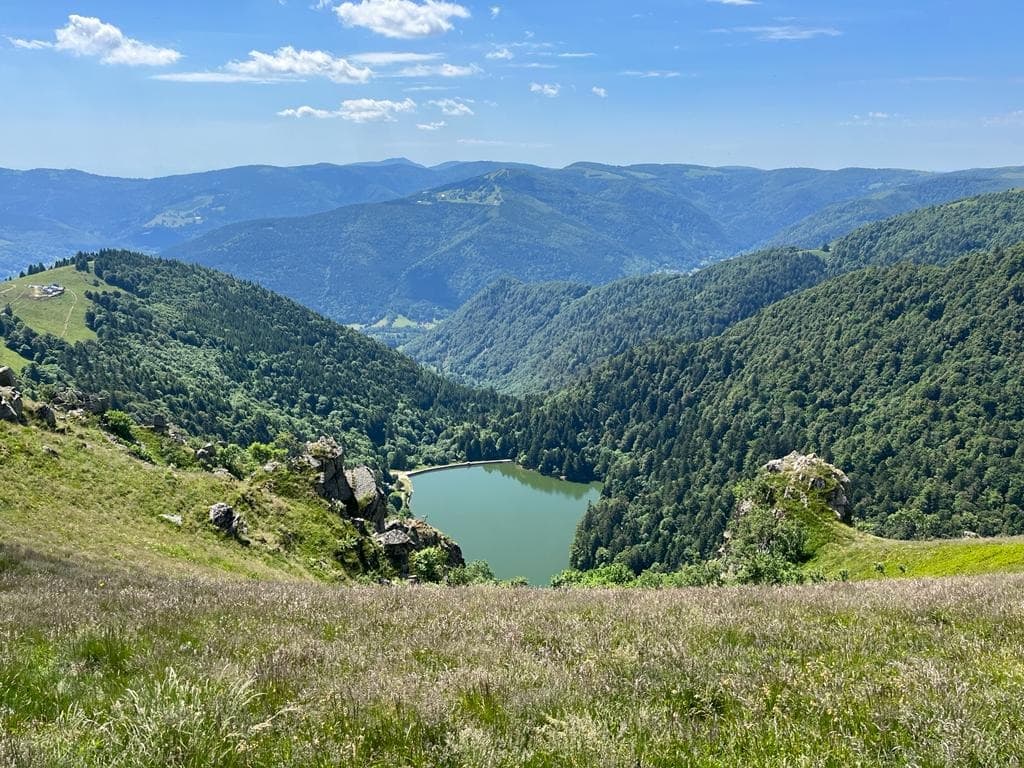 Ultima escursione verso la valle e ritorno a Munster o Metzeral
