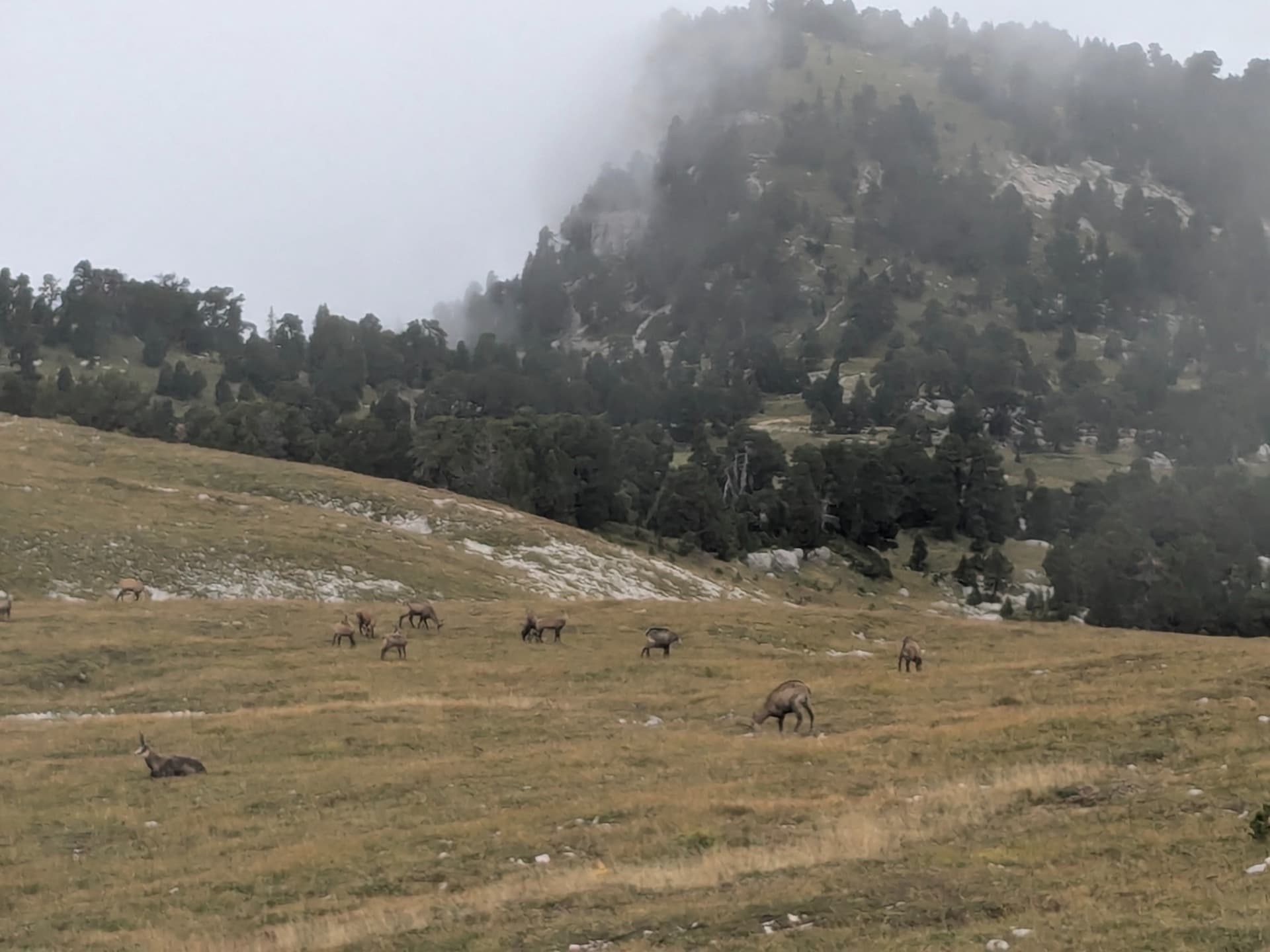 Sulle creste della Chartreuse