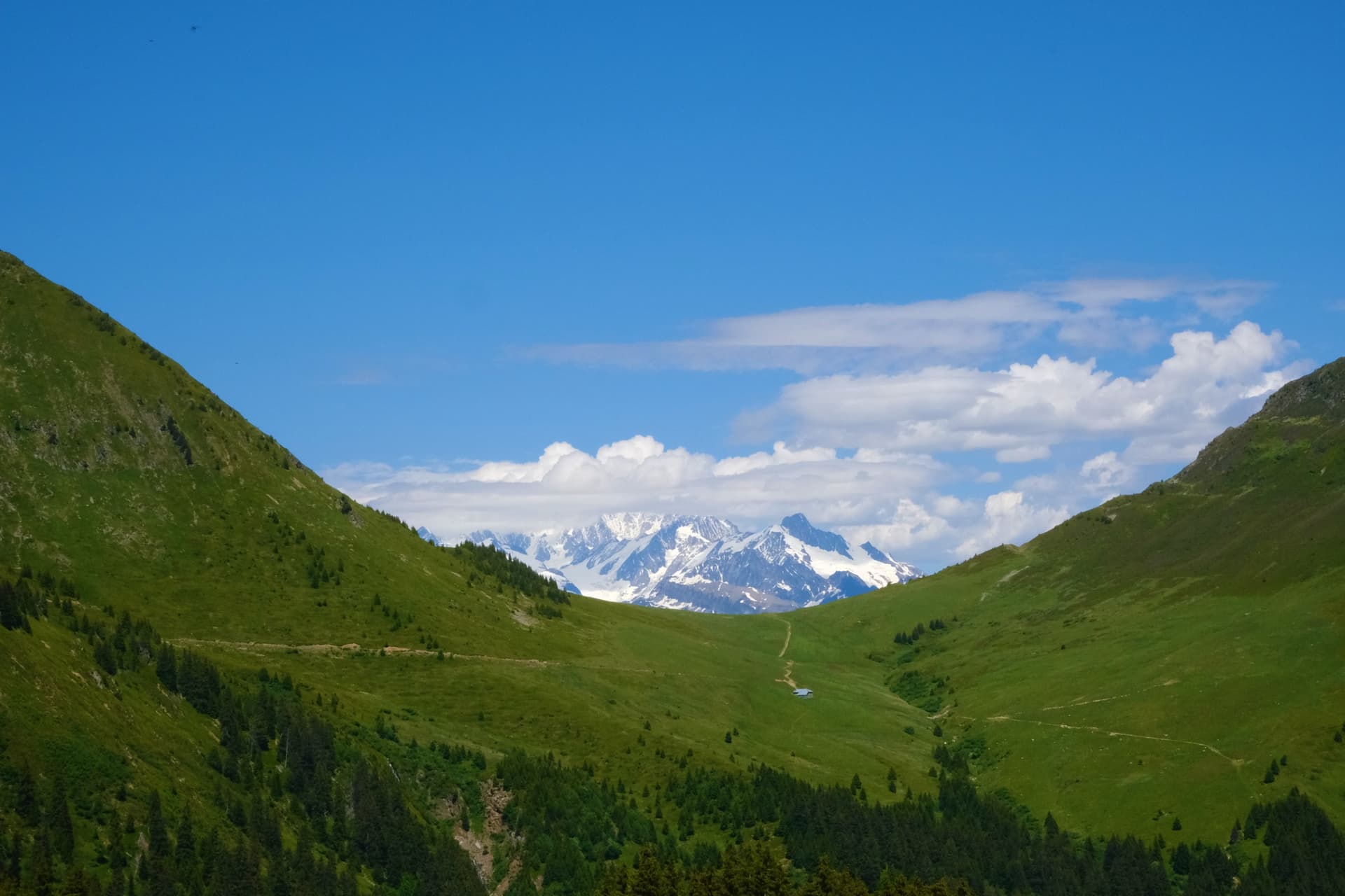 Laghi d'alta quota e pascoli alpini