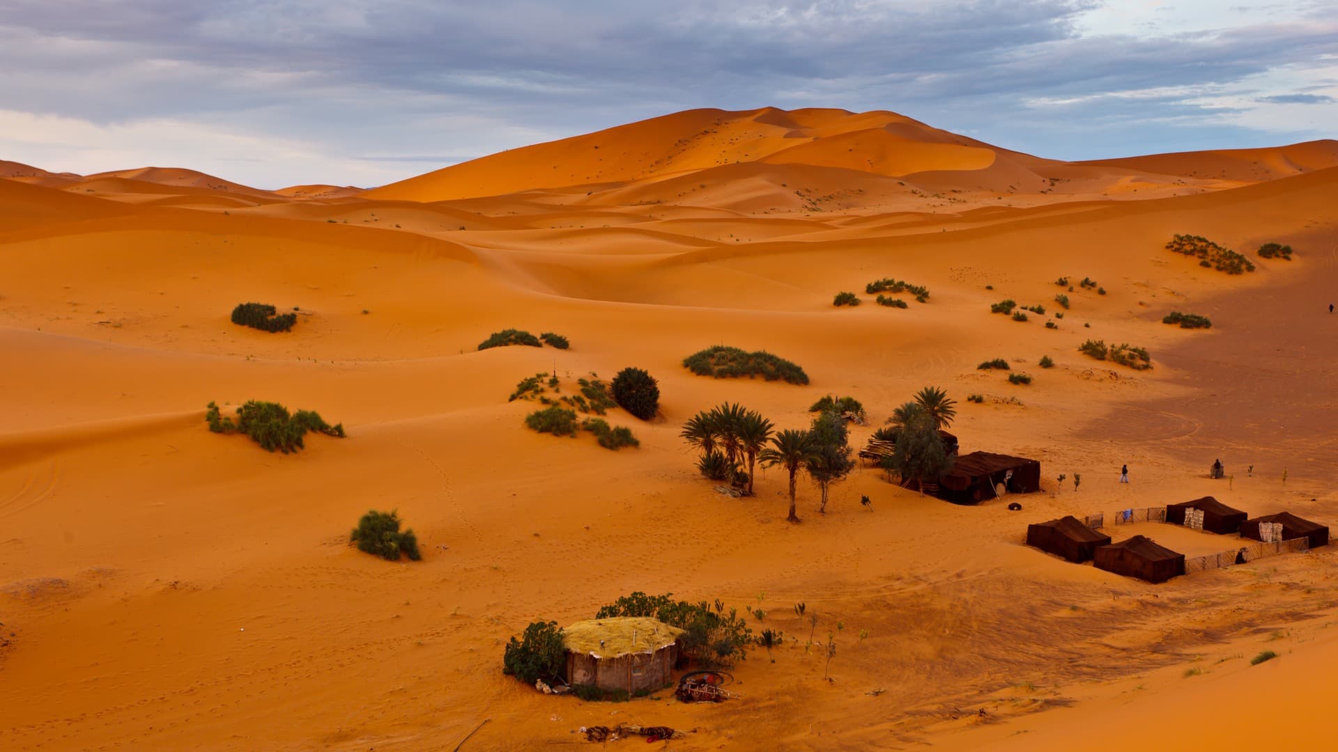 Soggiorno beduino nel Sahara
