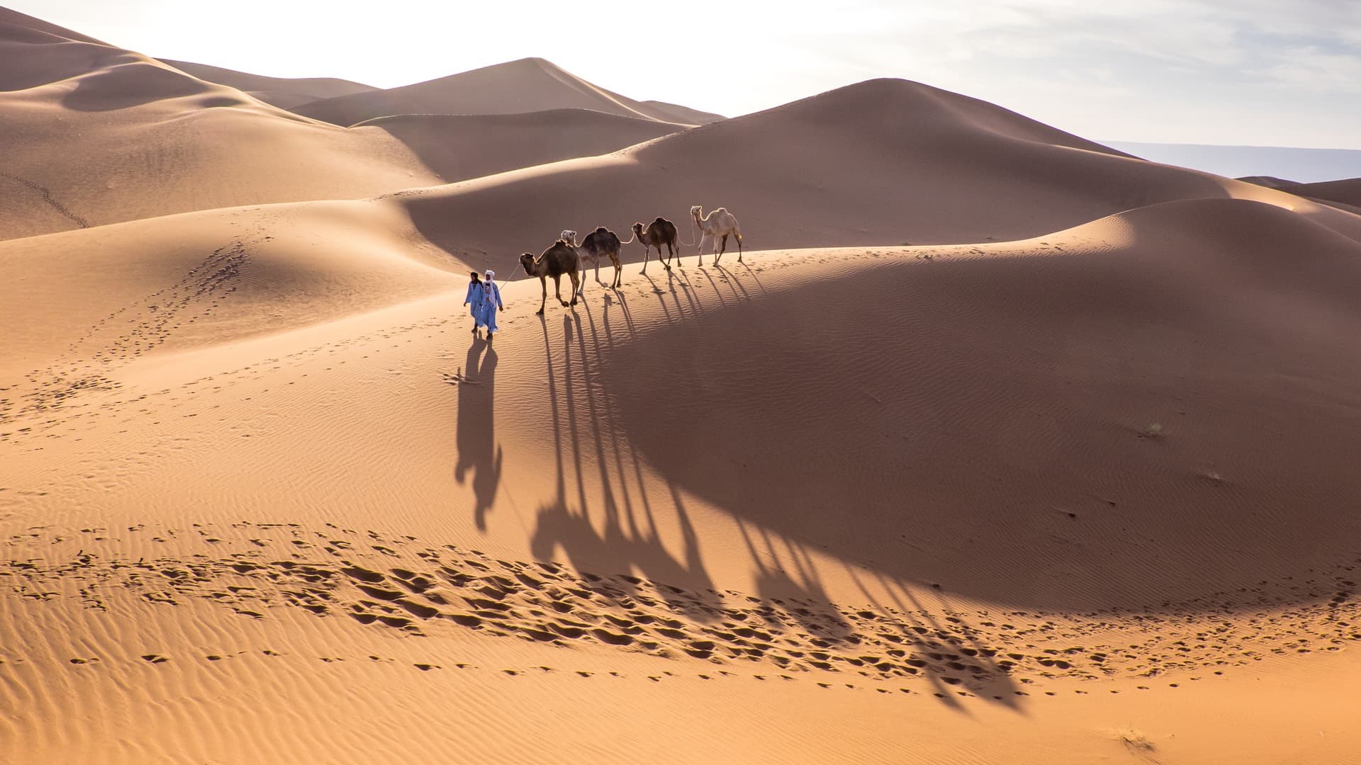 Sfida avventura, il richiamo del deserto