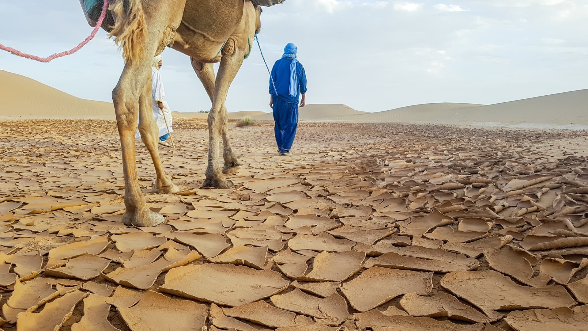 Massaggi del deserto