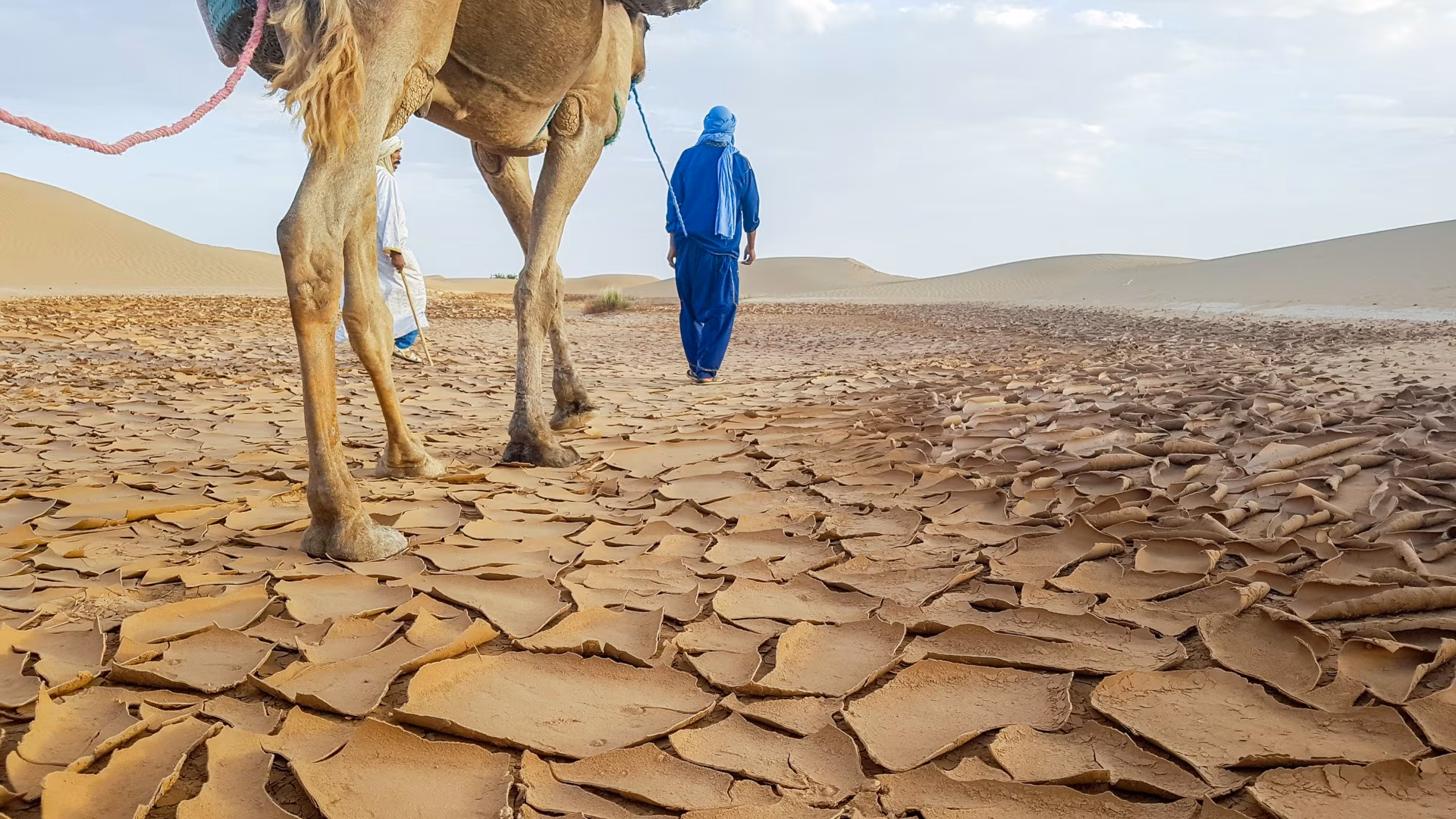 Massaggi del deserto