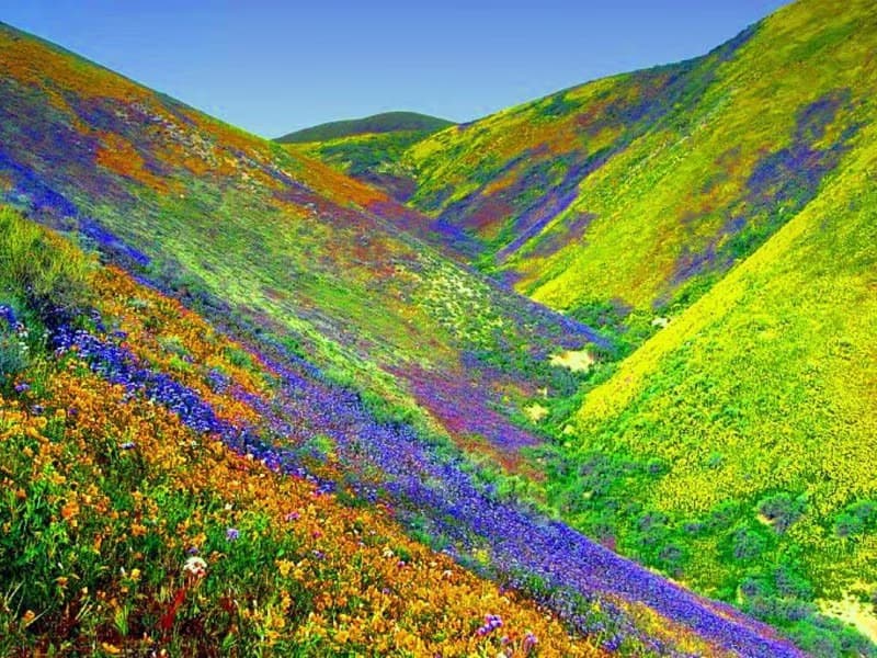 Il trekking della valle dei fiori