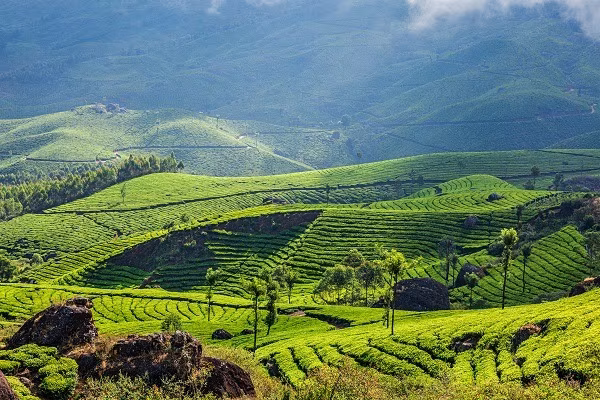 Avventure nel Kerala