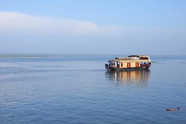L'India del Sud oltre le paludi