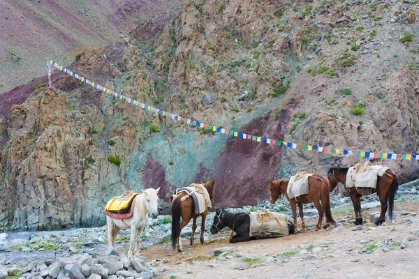 Stok Kangri con la valle di Markha