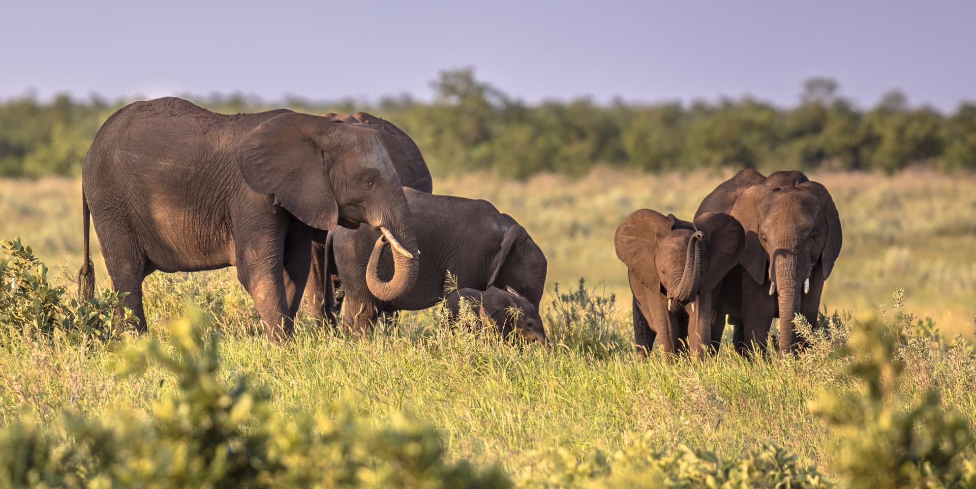 Da Kruger all'Elephant Coast via lo Swaziland