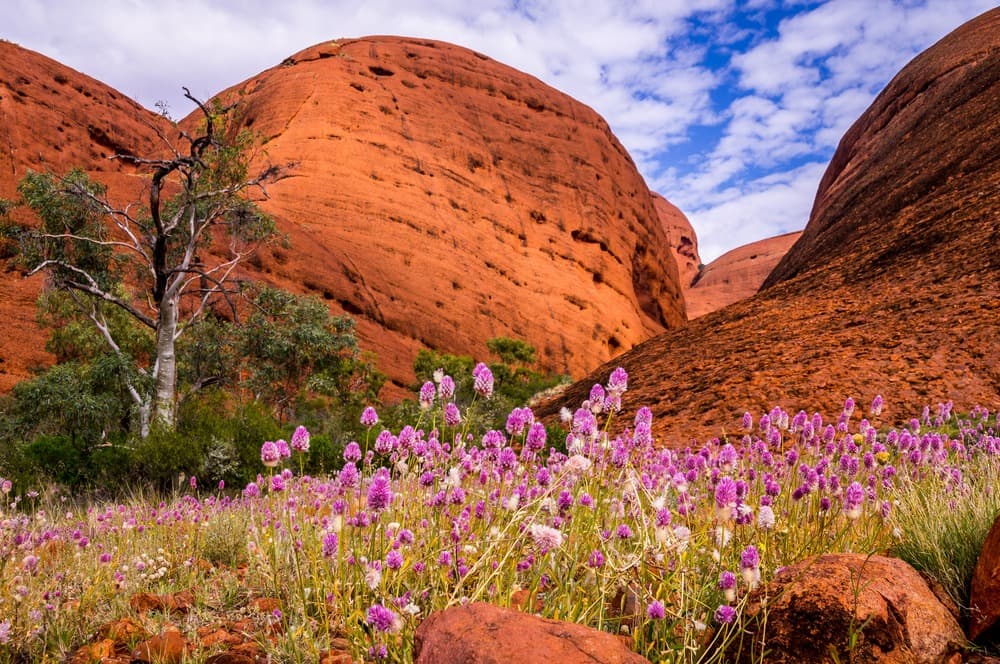 Colori dell'Australie