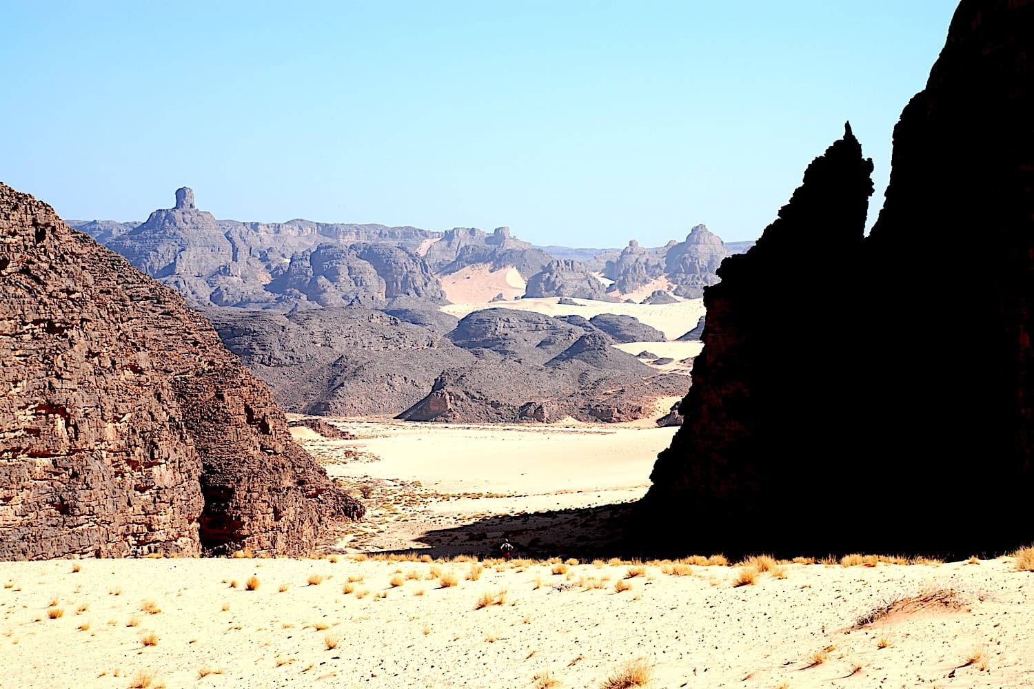 Dune e vulcani degli Ajjer - Dall'erg Tihodaïne all'Adrar N'Ajjer