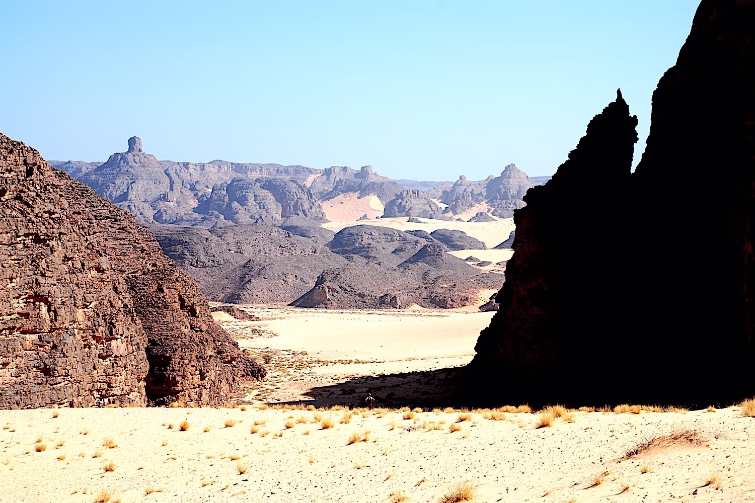 Dune e vulcani degli Ajjer - Dall'erg Tihodaïne all'Adrar N'Ajjer