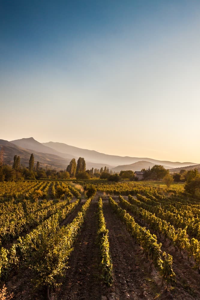 La Strada dei Vini in Macédoine
