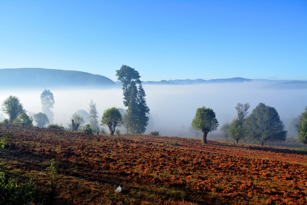 Triangolo d'oro e trekking nel paese Shan