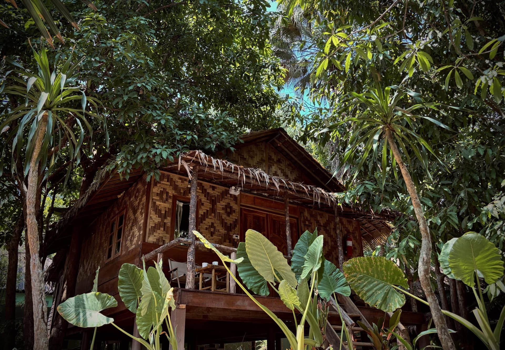 Jungle Mansion