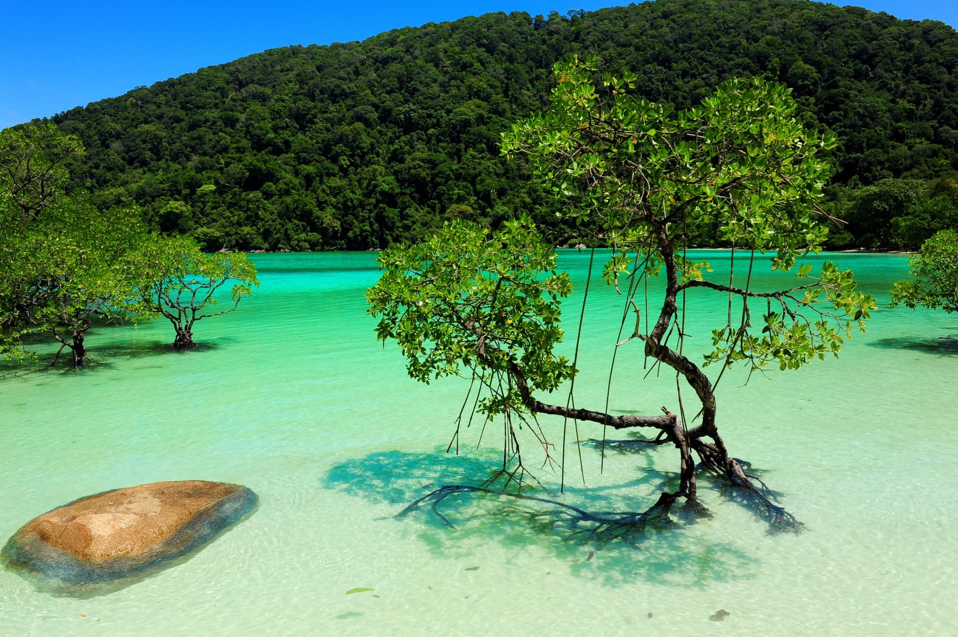 surin island