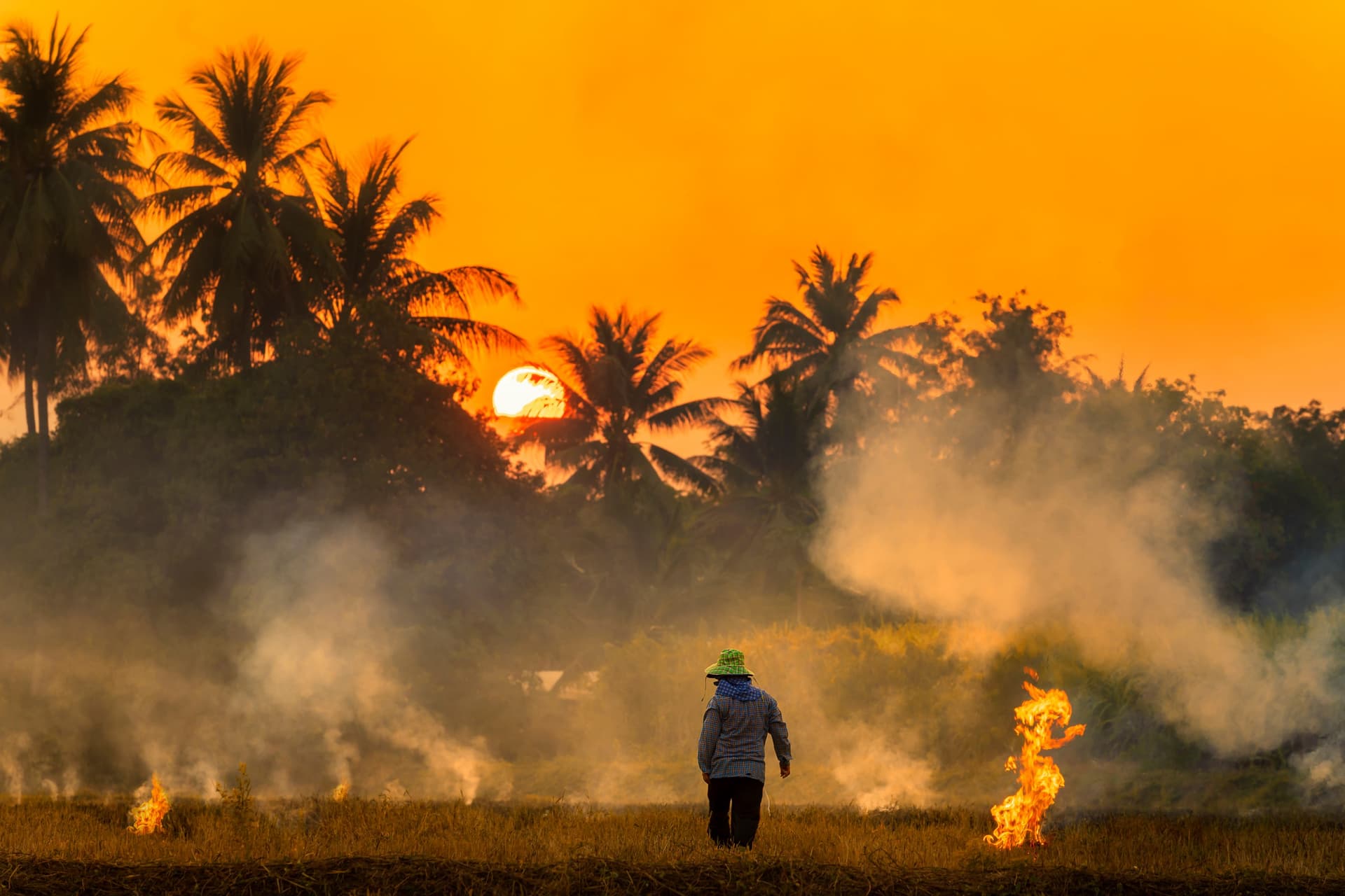 Stagione dei roghi in Tailandia: quando avviene e come evitarla