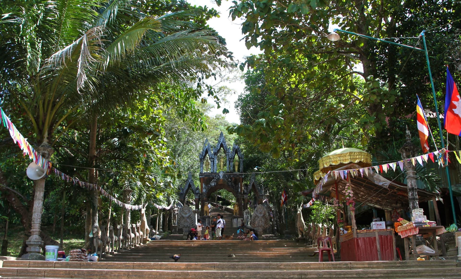 Centro di Angkor per la Protezione della Biodiversità