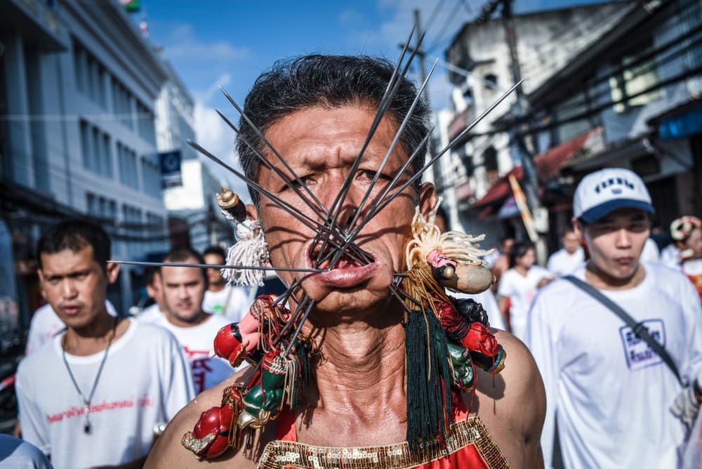 Il Festival Vegetariano