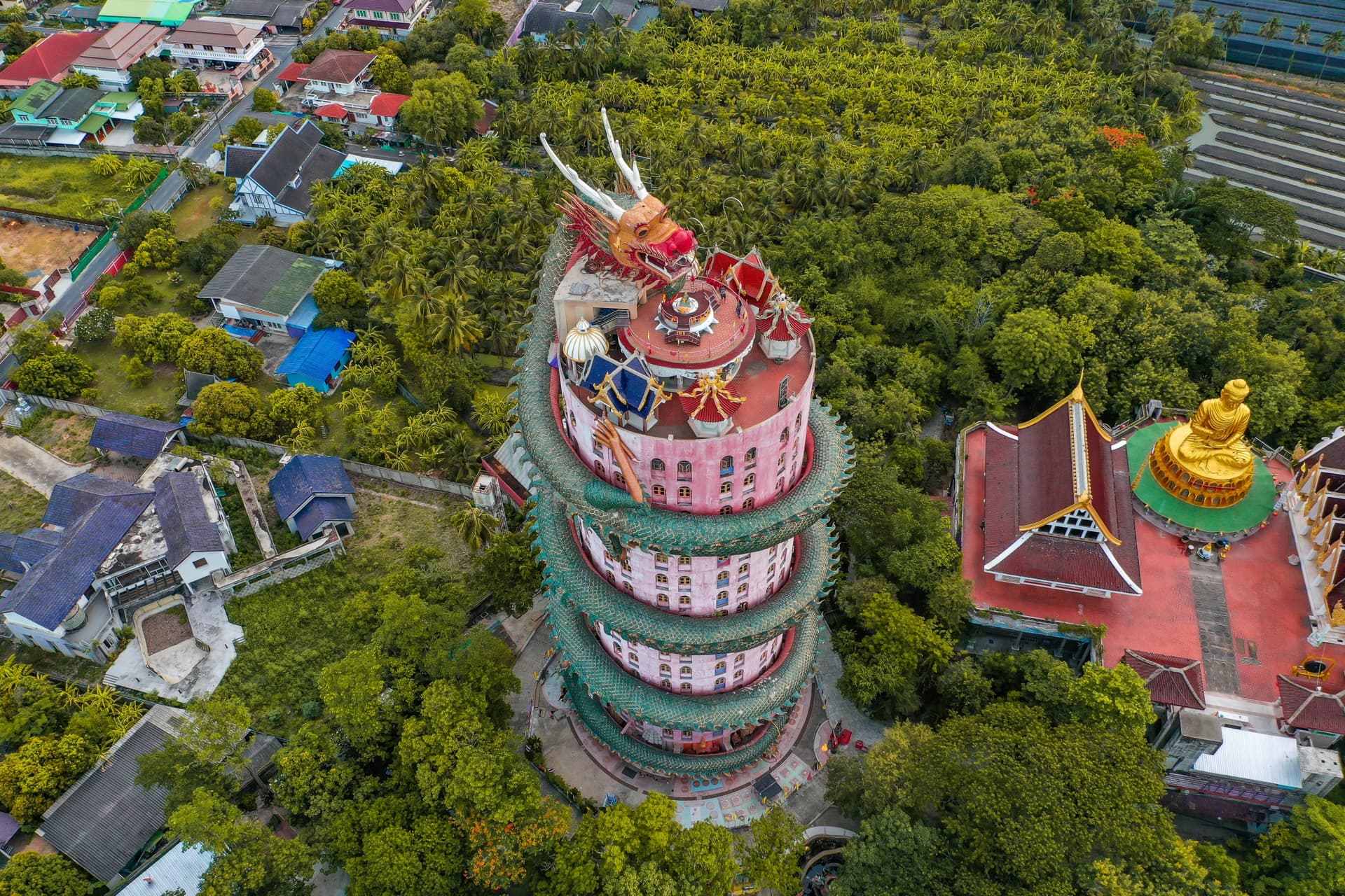 Wat Samphran: il tempio del drago