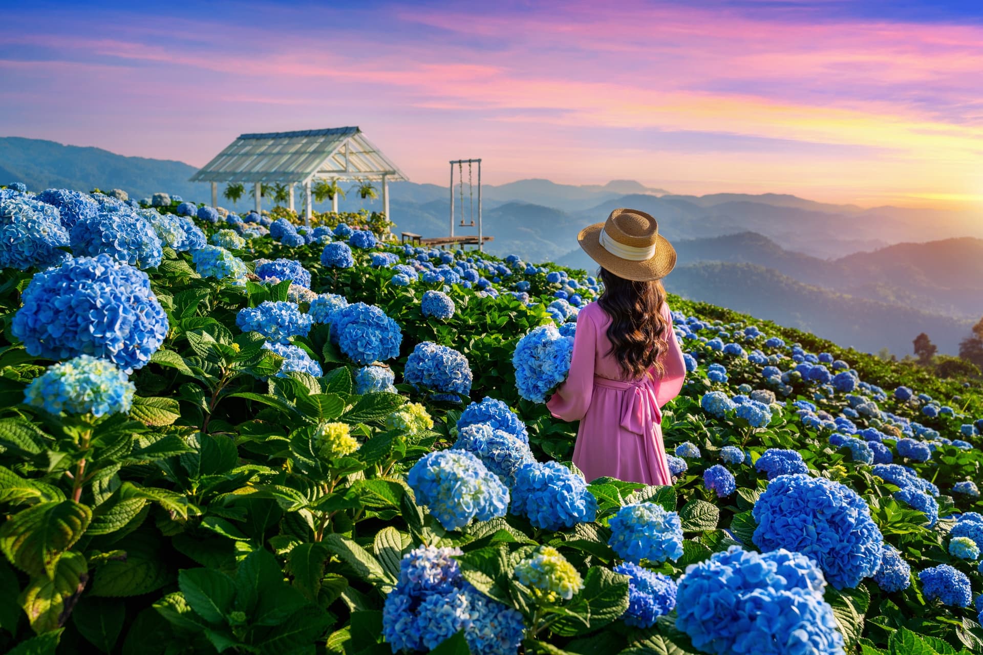 Chiang Mai o Chiang Rai: quale città scegliere?