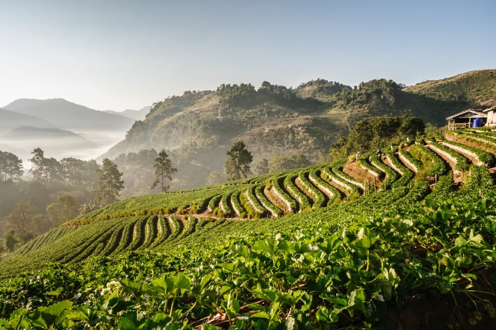 Il Massiccio Doi Ang Khang