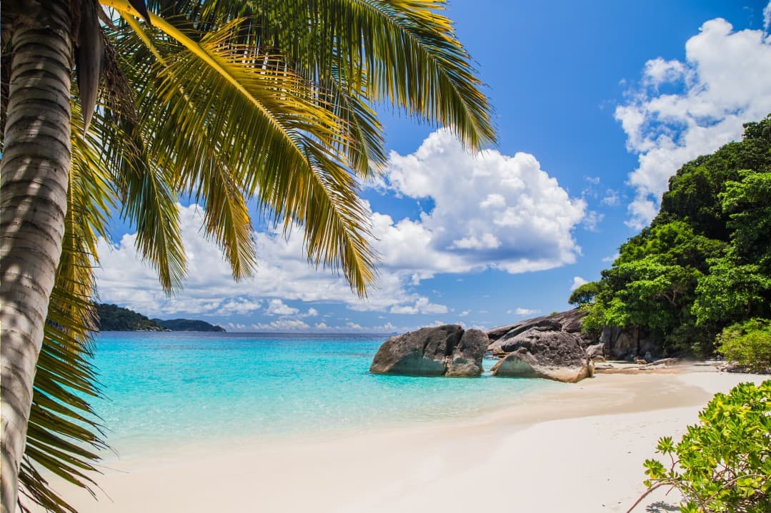 Tutto quello che devi sapere sulle escursioni alle isole Similan