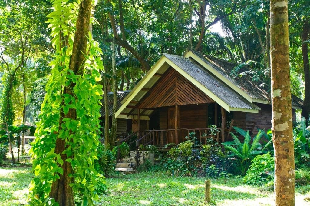 khao sok riverside cottages