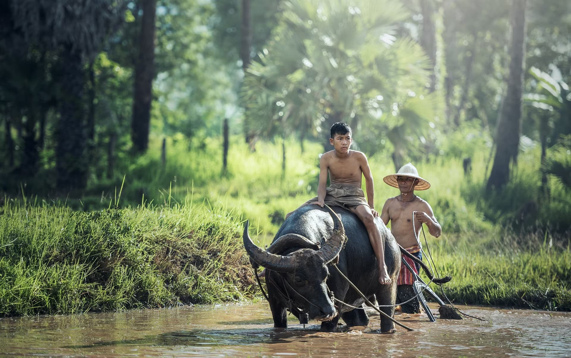 La Tailandia Diversamente