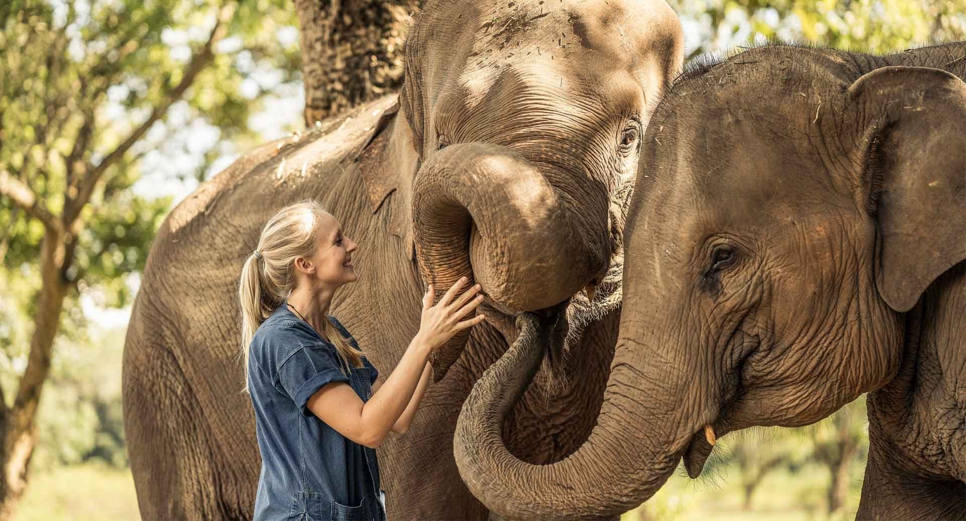 Kanchanaburi - Treno della morte e Elephant Haven