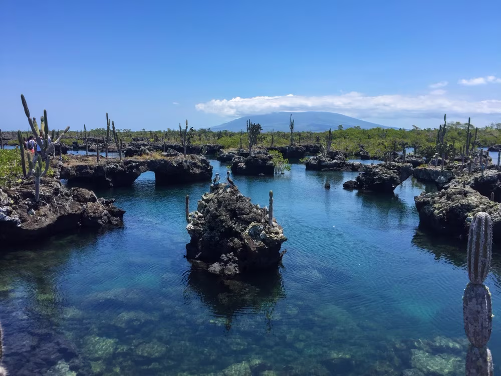 Evasione libertà alle Galápagos 8 giorni