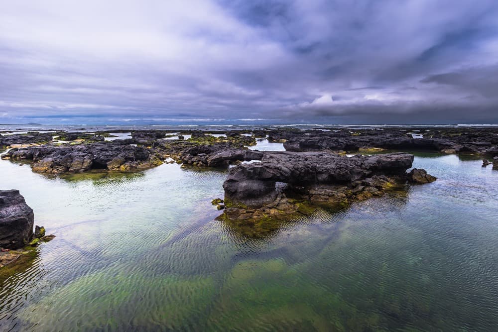Galápagos en liberté