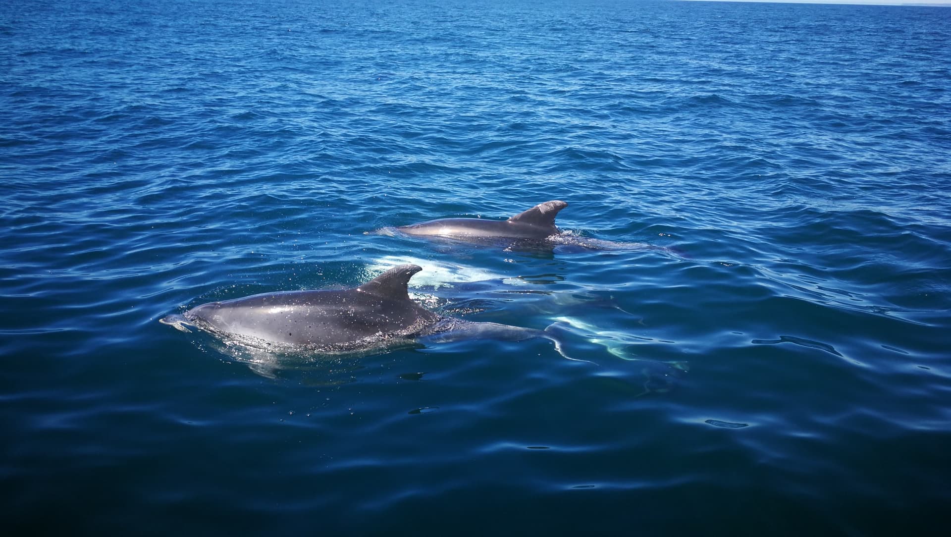 Jour 5