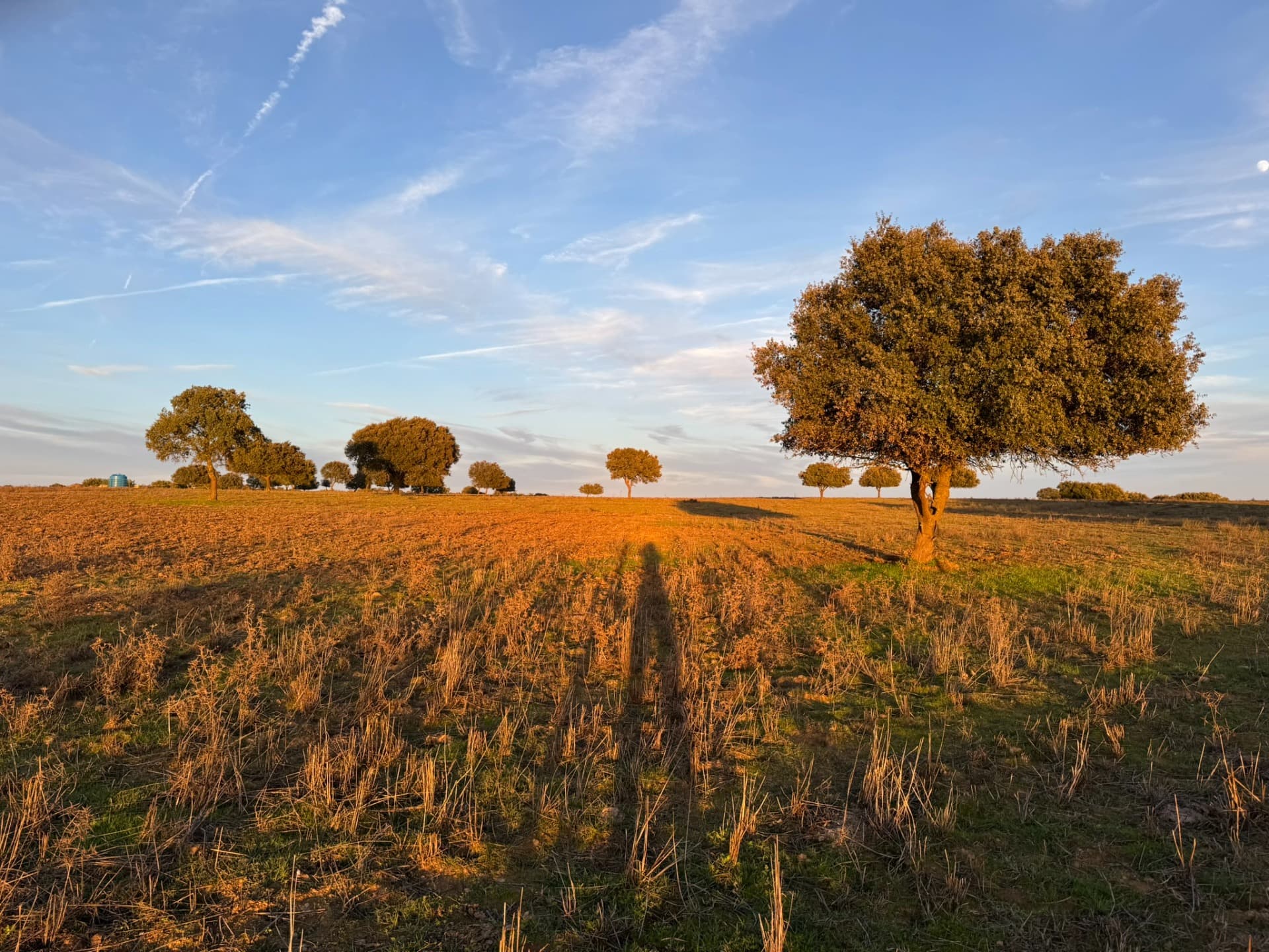 Fuga nell'Alentejo: villaggi, vigneti e patrimoni