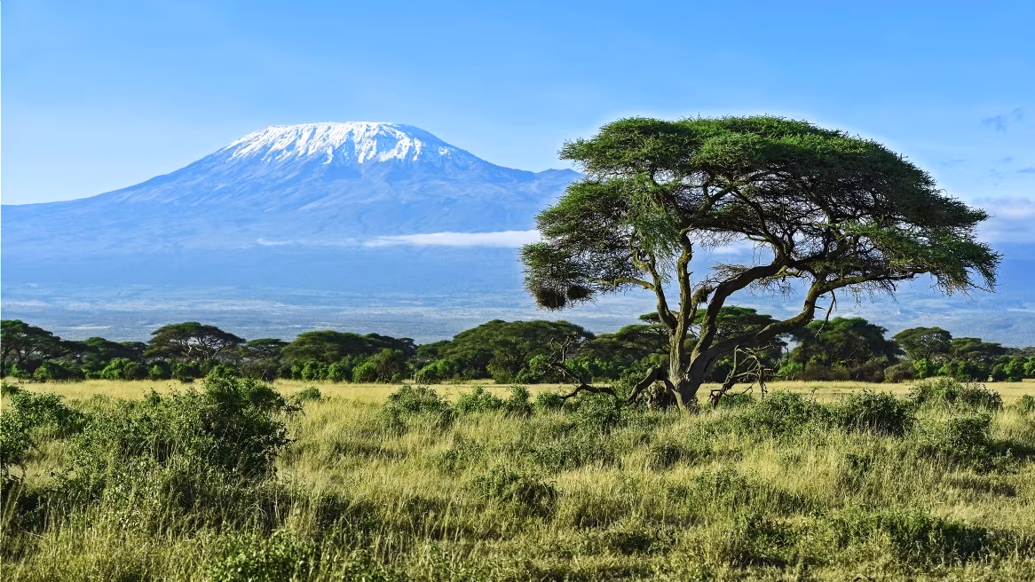 Machame Route : 6 giorni / 5 notti in montagna