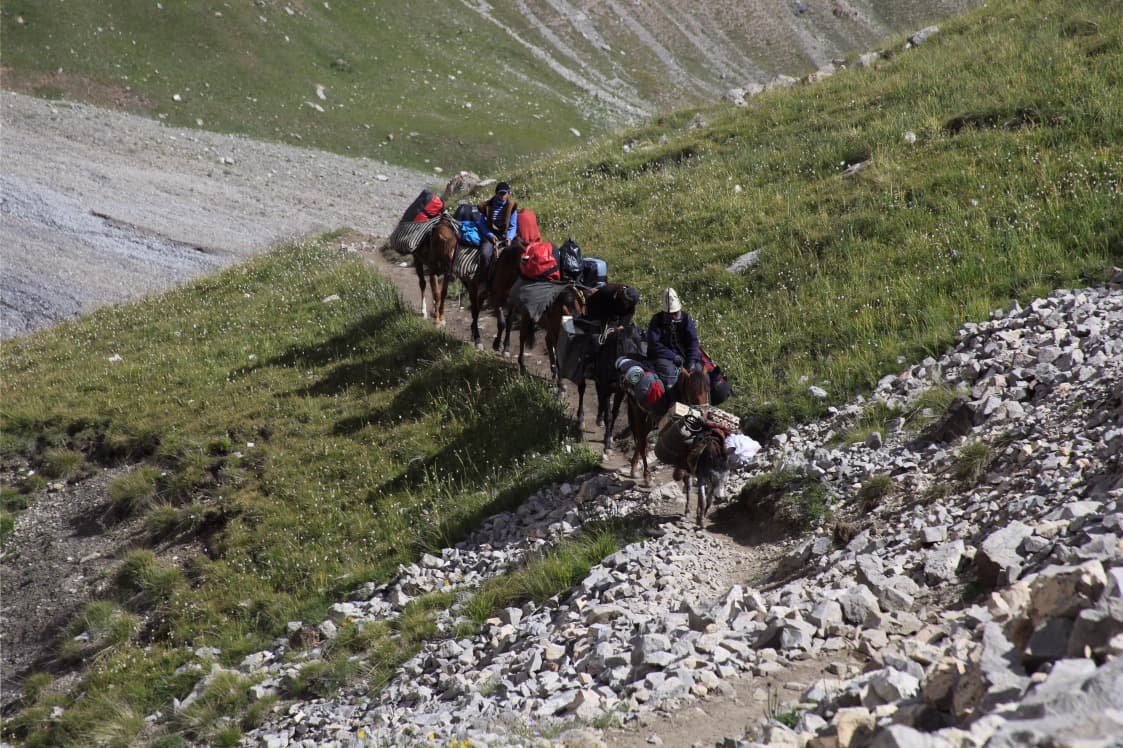 Trek e cavallo