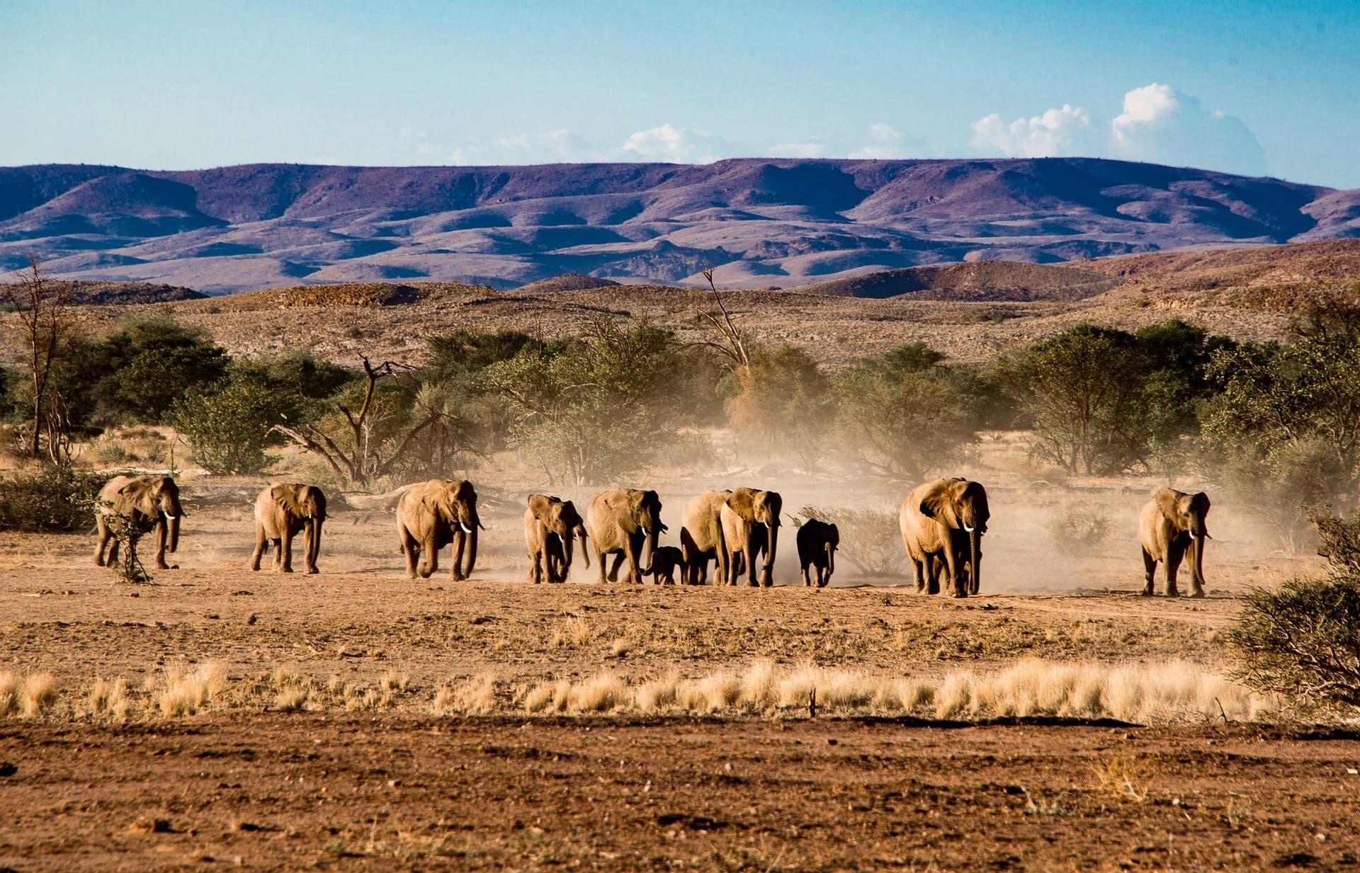Namibia in 4x4 privato — Confort